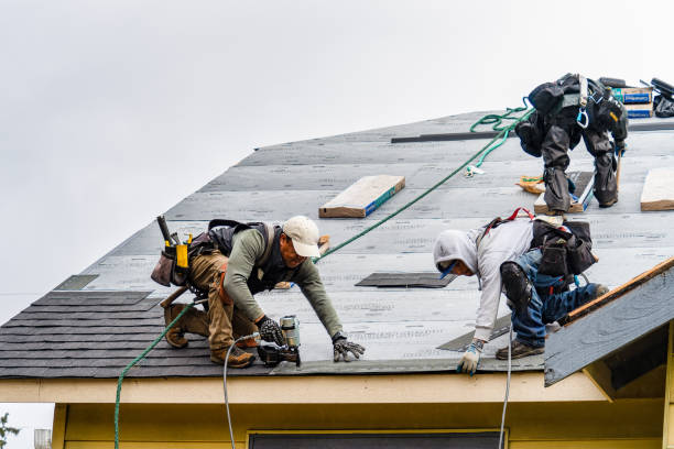 Professional Roof Replacement technician working in Nordman, ID